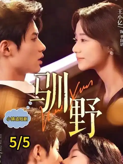 第四章胶片转型章节母题叶片图鉴